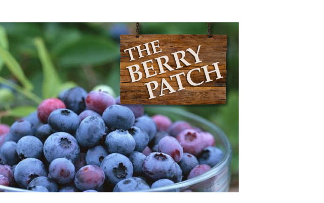 The Berry Patch