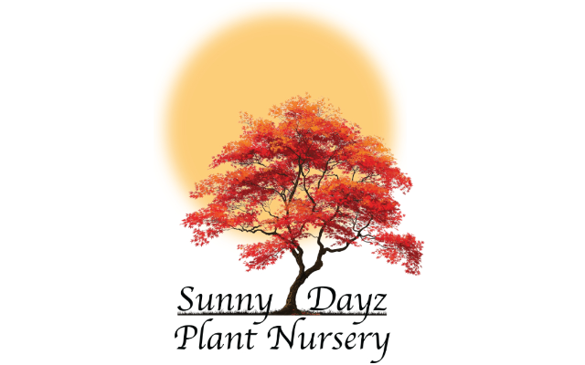 Sunny Dayz Plant Nursery