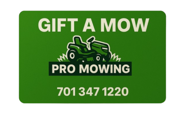 The Pro Mowing