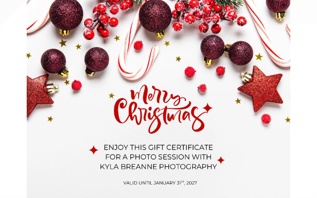 Timeless Moments Photography