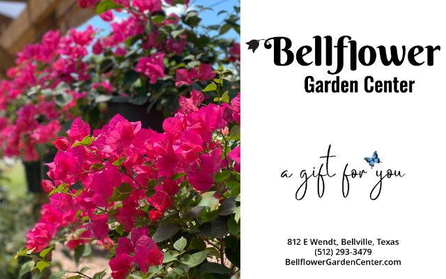 Bellflower Garden Center LLC