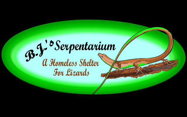 B. J.'s Serpentarium