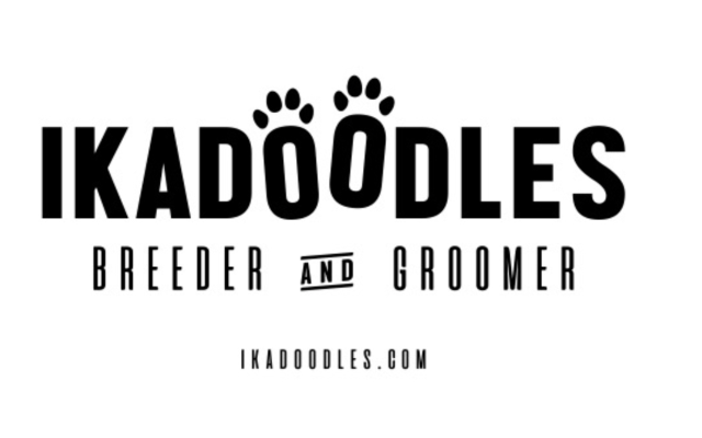 Ikadoodles