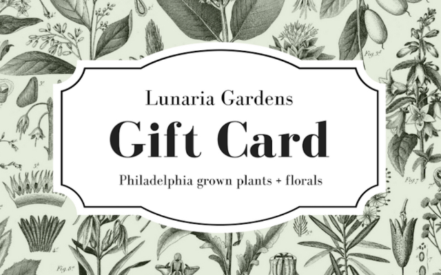 Lunaria Gardens