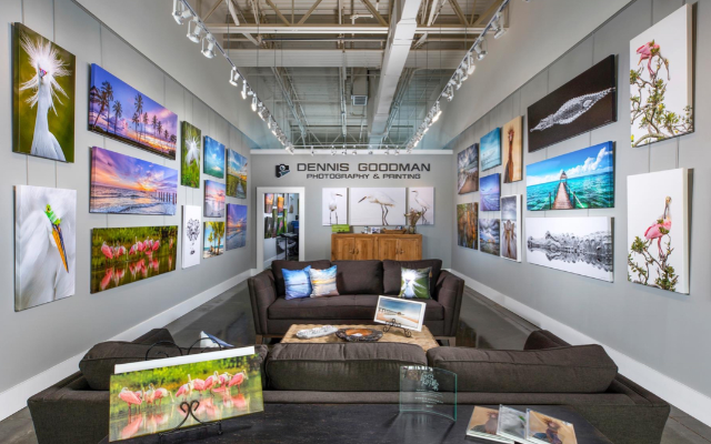 Dennis Goodman Photography