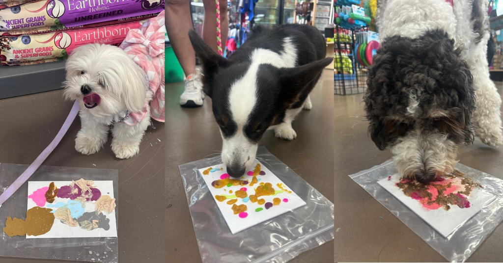 Pet Paint & Sip Lookback 