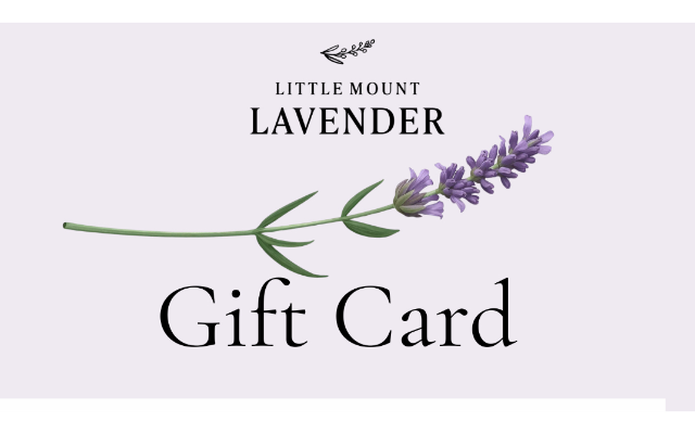 Little Mount Lavender Company