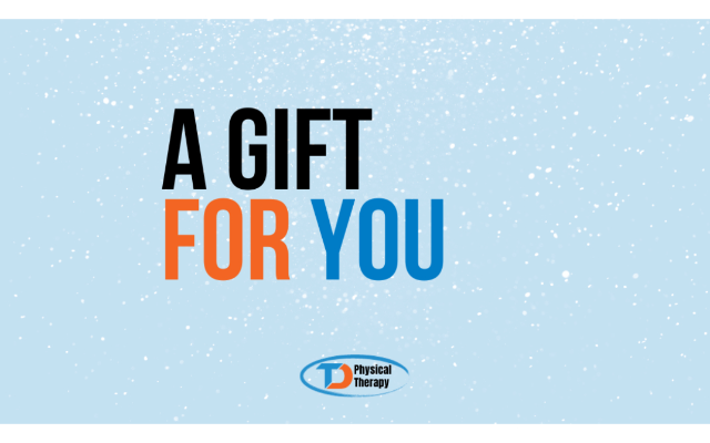 TDAE Physical Therapy