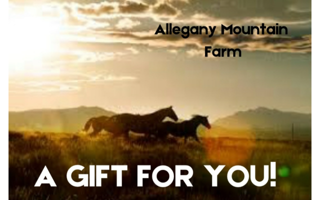 Allegany Mountain Farm