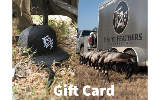 Fins to Feathers Outfitter