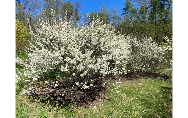 Hortus Arboretum & Botanical Garden