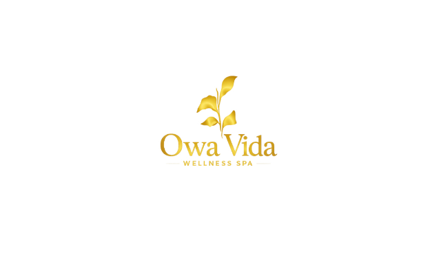 Hudson Valley Chiropractic Health Services PC