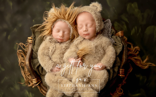 Stephanie Ann Photography