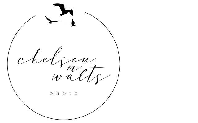 Chelsea M Walts Photography