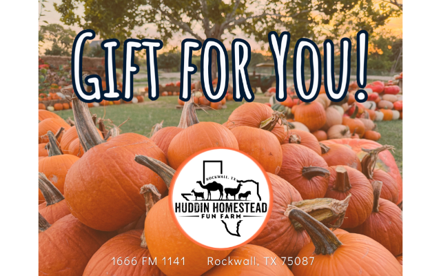 Huddin Homestead Fun Farm