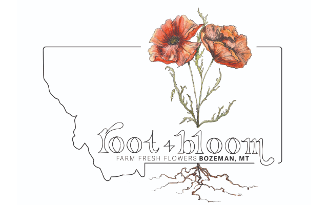 Root & Bloom
