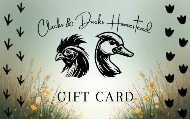 Clucks & Ducks Homestead, LLC