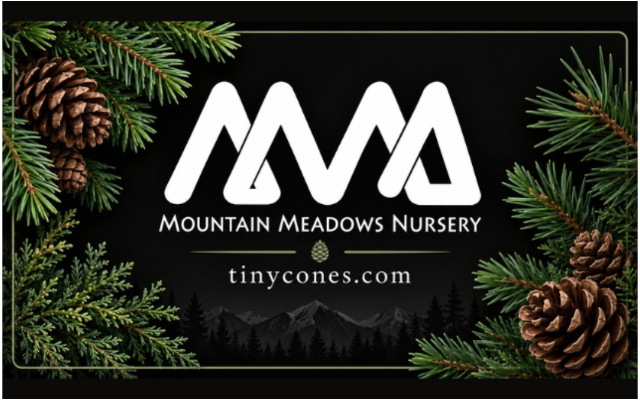 Mountain Meadows