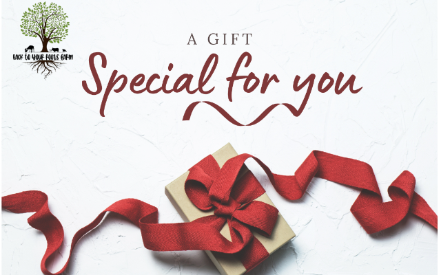 Back To Your Roots Farm