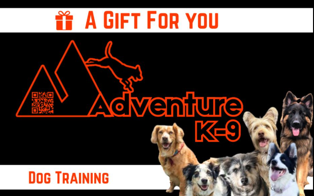 Adventure K-9