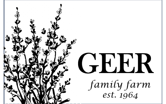 Jason L Geer
