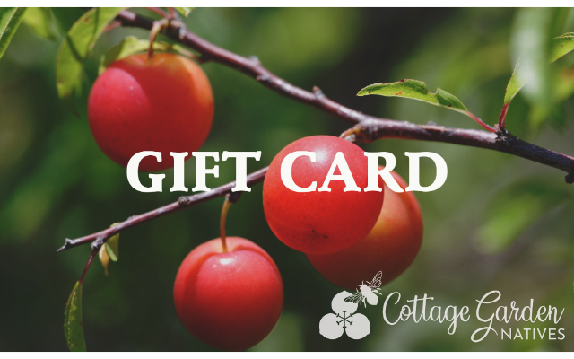 Cottage Garden Natives