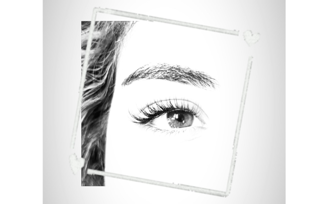 The Lash Artist