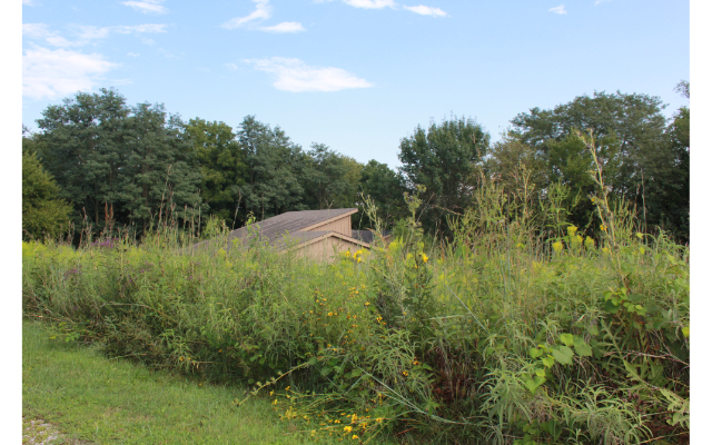 Martha Lafite Thompson Nature Sanctuary