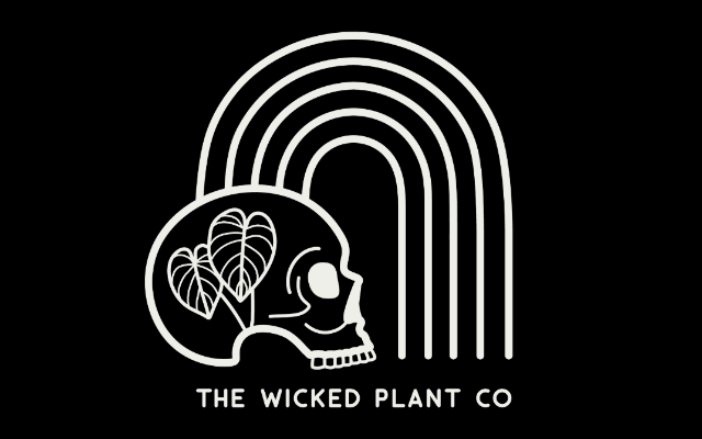 The Wicked Plant Co
