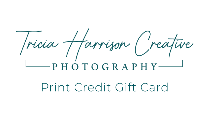 Tricia Harrison Creative