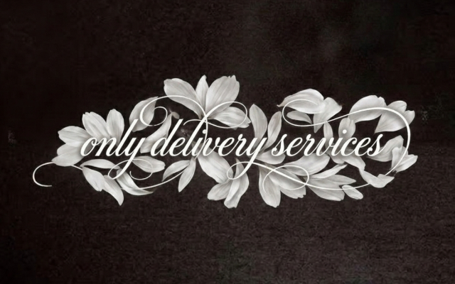 ONLY Delivery Services