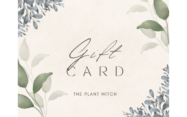 The Plant Witch LLC