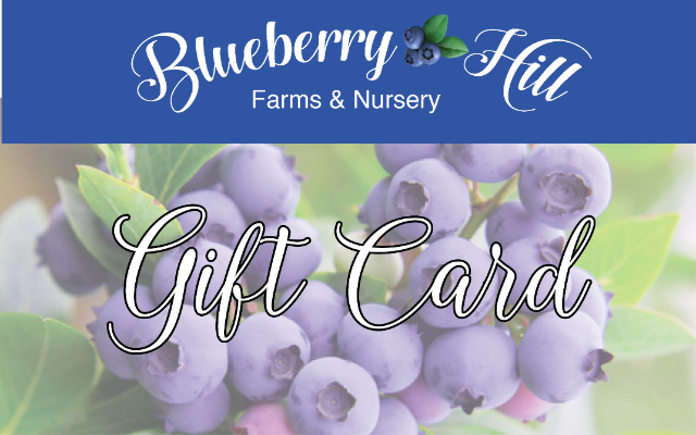 Blueberry Hill Farms & Nursery