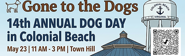 Ask Dr. Caryn at Beach Paws Boutique