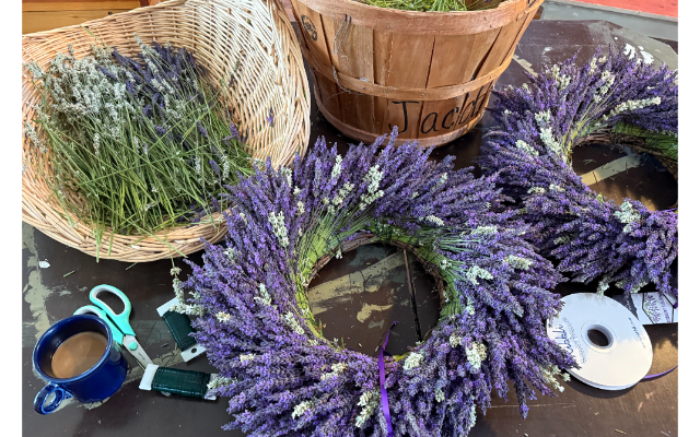 Ridgefield Lavender Company