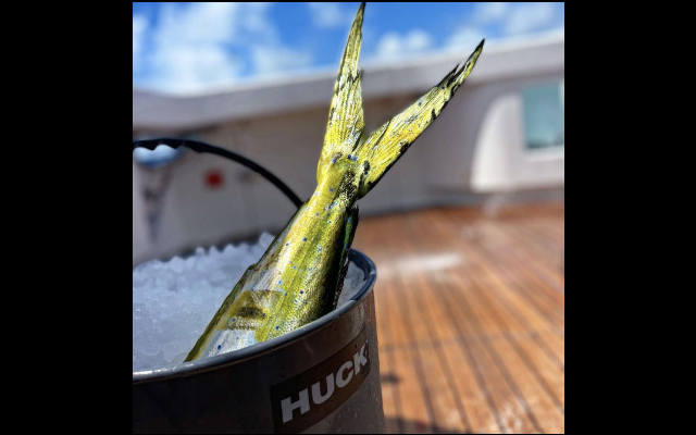 HUCK Performance buckets