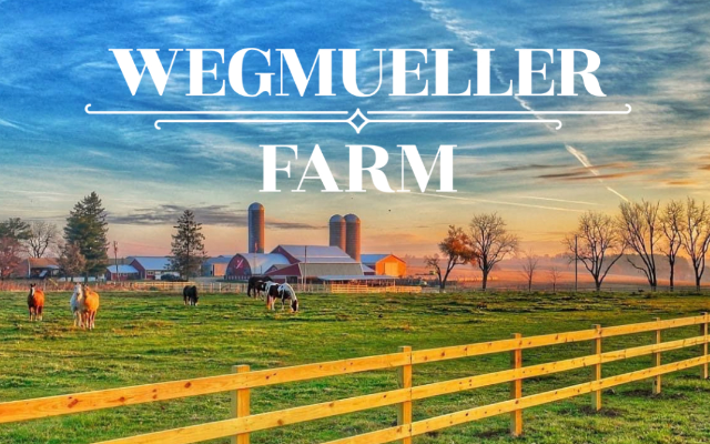 Wegmueller Farm LLC