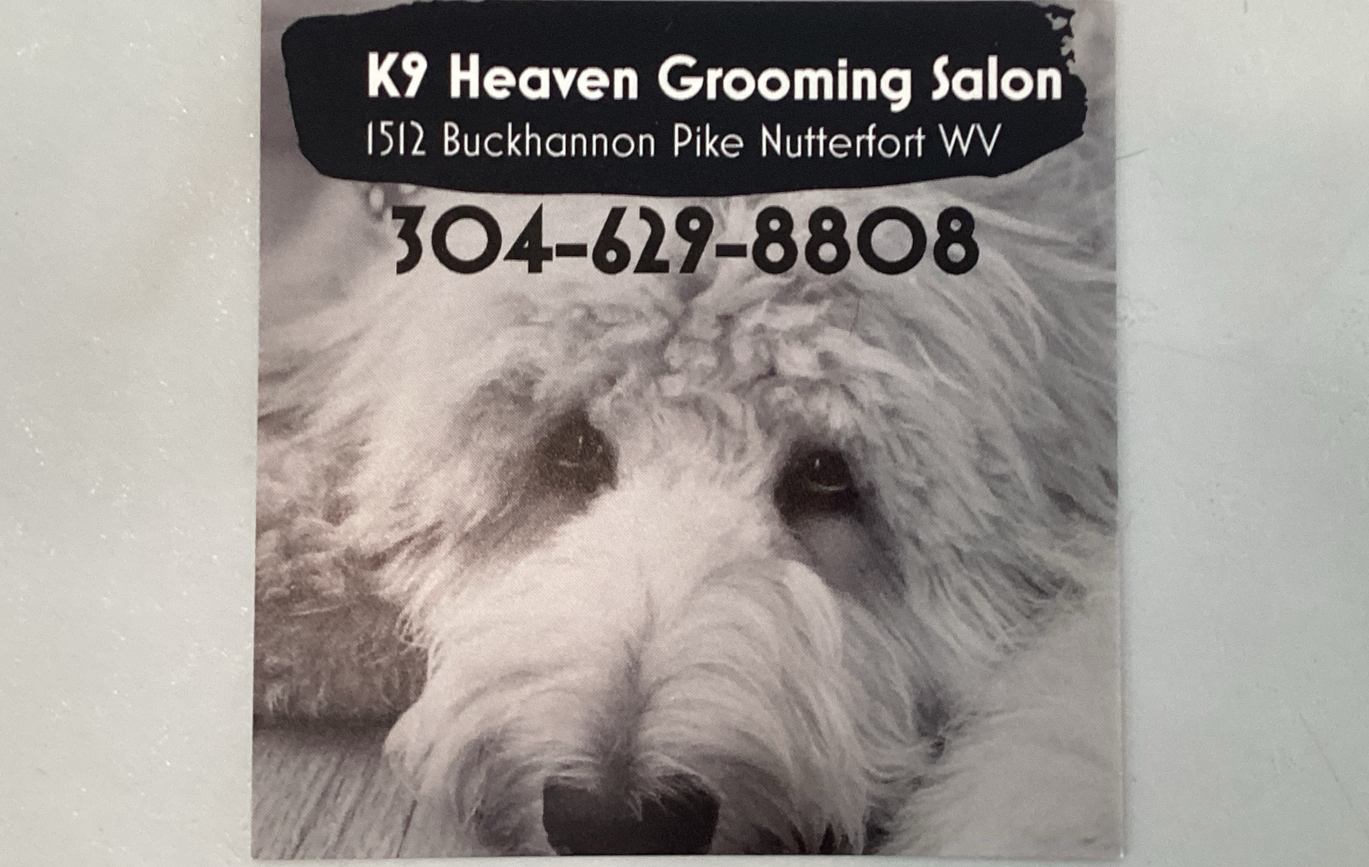 K9Heaven Grooming Salon