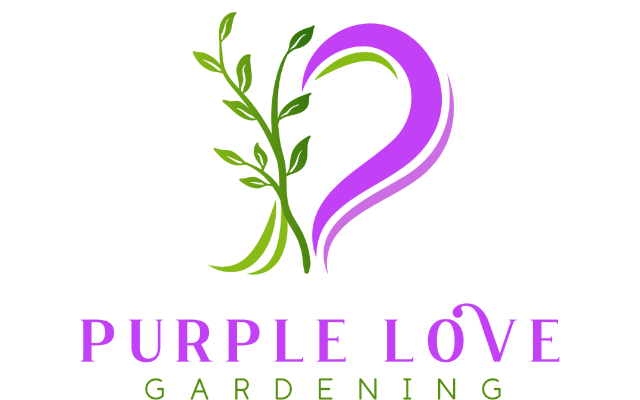 Purple Love Gardening