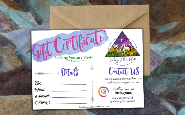 Seeking Venture Photo