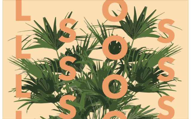 Order Little Shop of Soil eGift Cards