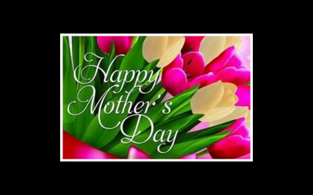 Revive Oasis Massage