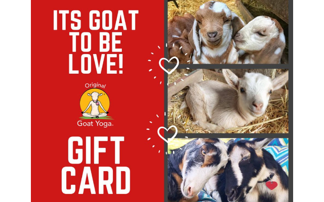 Your Daily Goat, LLC