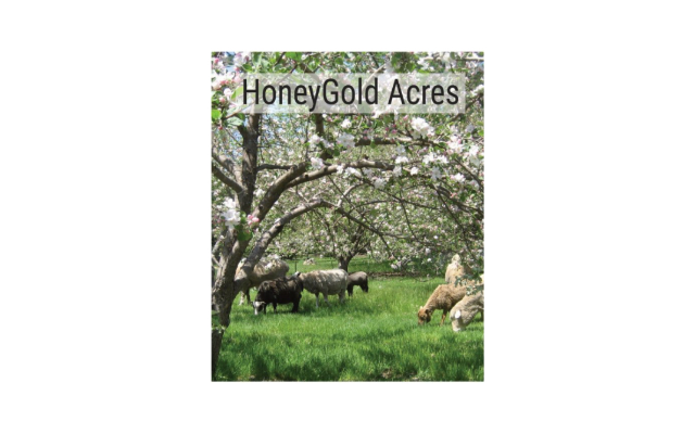 HoneyGold Acres