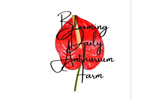 Blooming Daily Farm, LLC