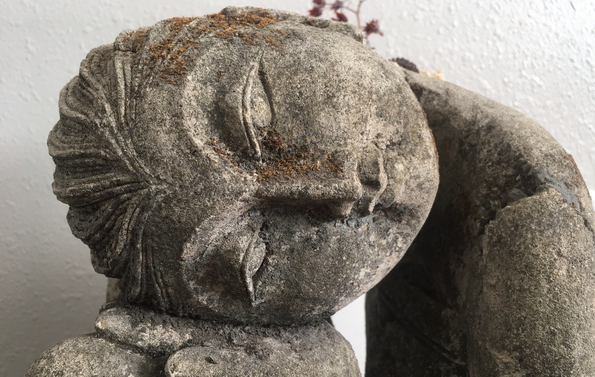 Hito Wellness