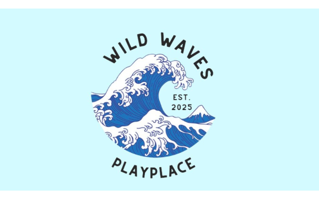 Wild Waves Playplace LLC