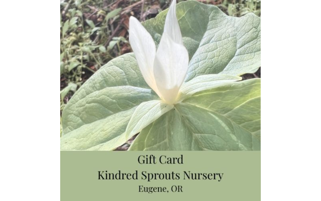Kindred Sprouts Nursery