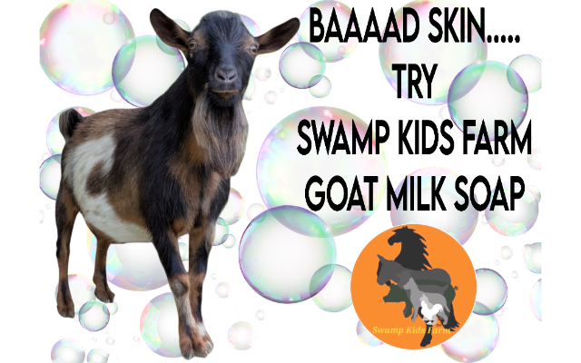 Swamp Kids Farm