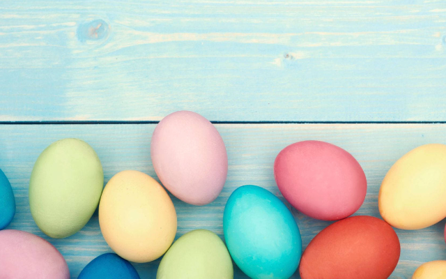 Shark Bite Meal Prep